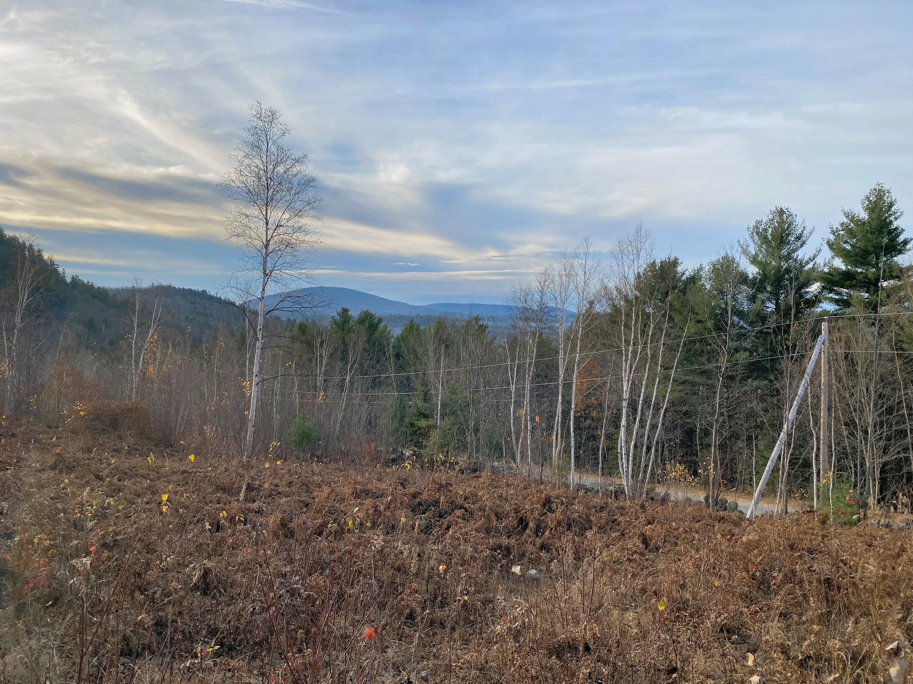 Lot #9 Taylor Smith Road Bethel, ME 04217 - Photo 16 of 22 Mt Abram Views
