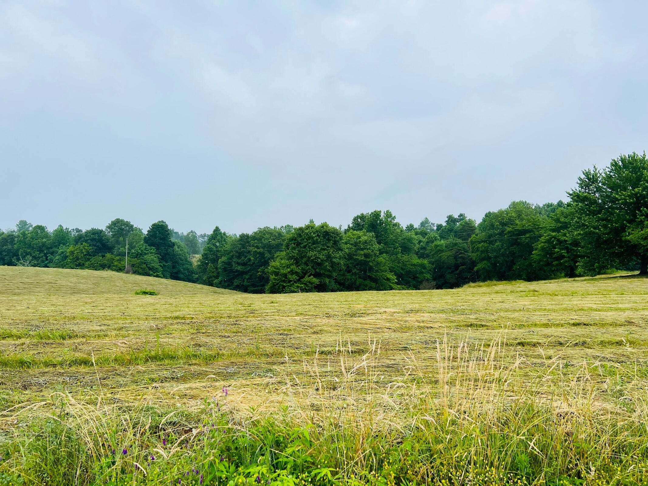 2 Purdy Sano Road Columbia, KY 42728 - Photo 1 of 19 20230619185336659925000000-o
