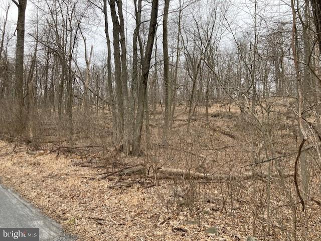 Tower Smithsburg, MD 21783 - Photo 2 of 5