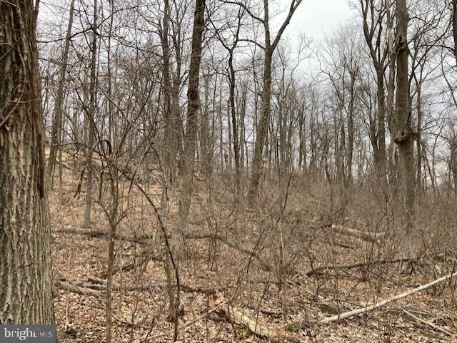 Tower Smithsburg, MD 21783 - Photo 3 of 5