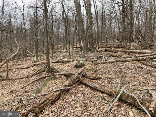 Tower Smithsburg, MD 21783 - Photo 4 of 5