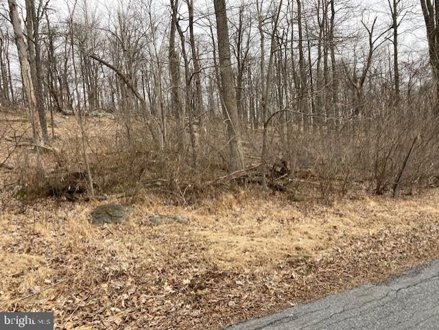 Tower Smithsburg, MD 21783 - Photo 5 of 5