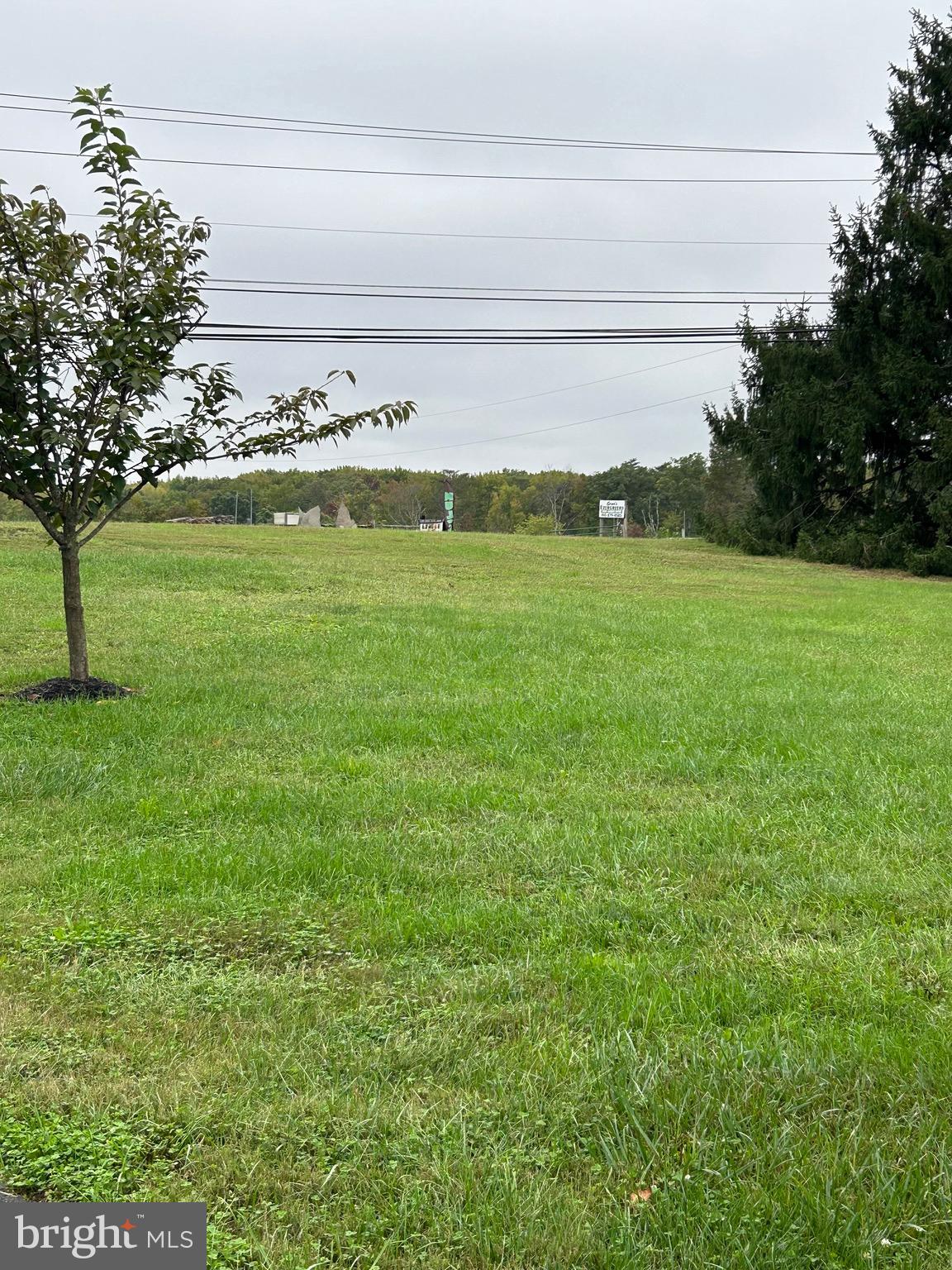 2523 Mountain Road Joppa, MD 21085 - Photo 30 of 35 Adjacent lot viewed from rear