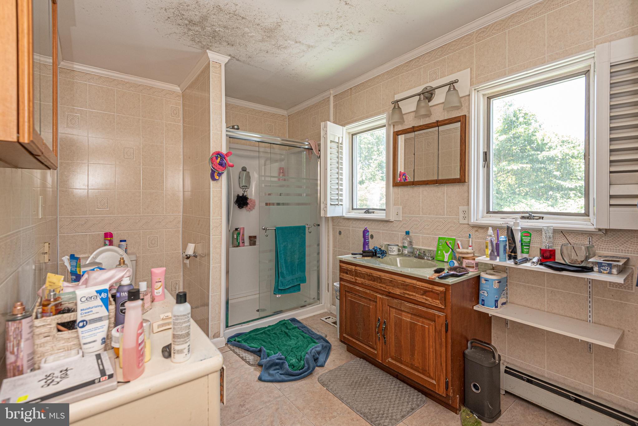 17 Burley Street Berlin, MD 21811 - Photo 83 of 150