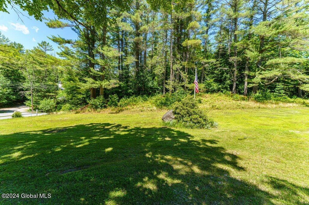 1068 Landon Hill Road Chester, NY 12860 - Photo 45 of 57 045-Yard 1_m