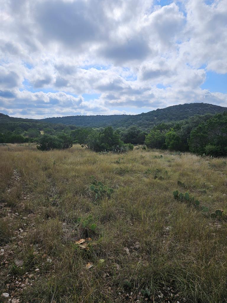 7997 Sd 52100 Rocksprings, TX 78880 - Photo 24 of 71