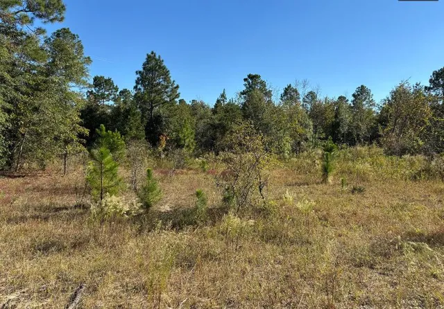 $74,500 | 7 A Pearl Bonnett Road, Windsor, SC 29856