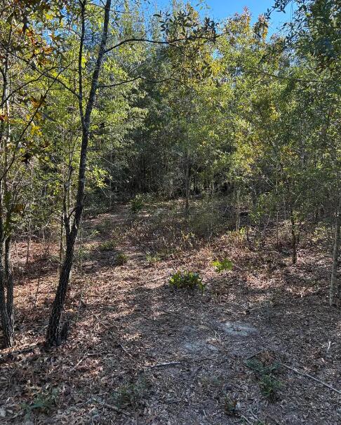 7 A Pearl Bonnett Road Windsor, SC 29856 - Photo 12 of 17 Screenshot 2025-10-20 105319