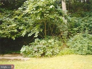 236 Papermill Road Barto, PA 19504 - Photo 2 of 6 Gallery Image 2