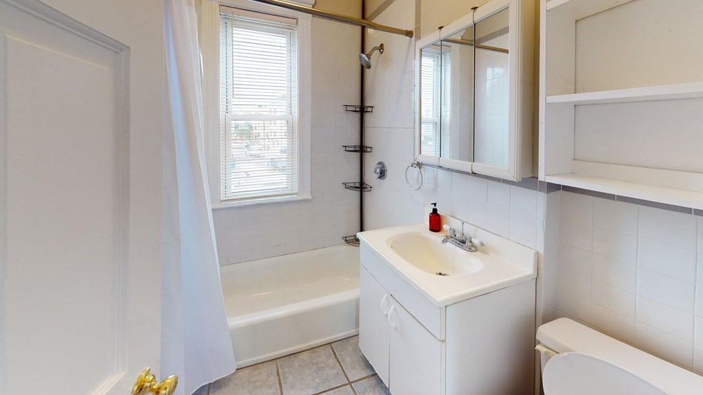 123 Boston Street, Unit 3 Boston, MA 02125 - Photo 15 of 18