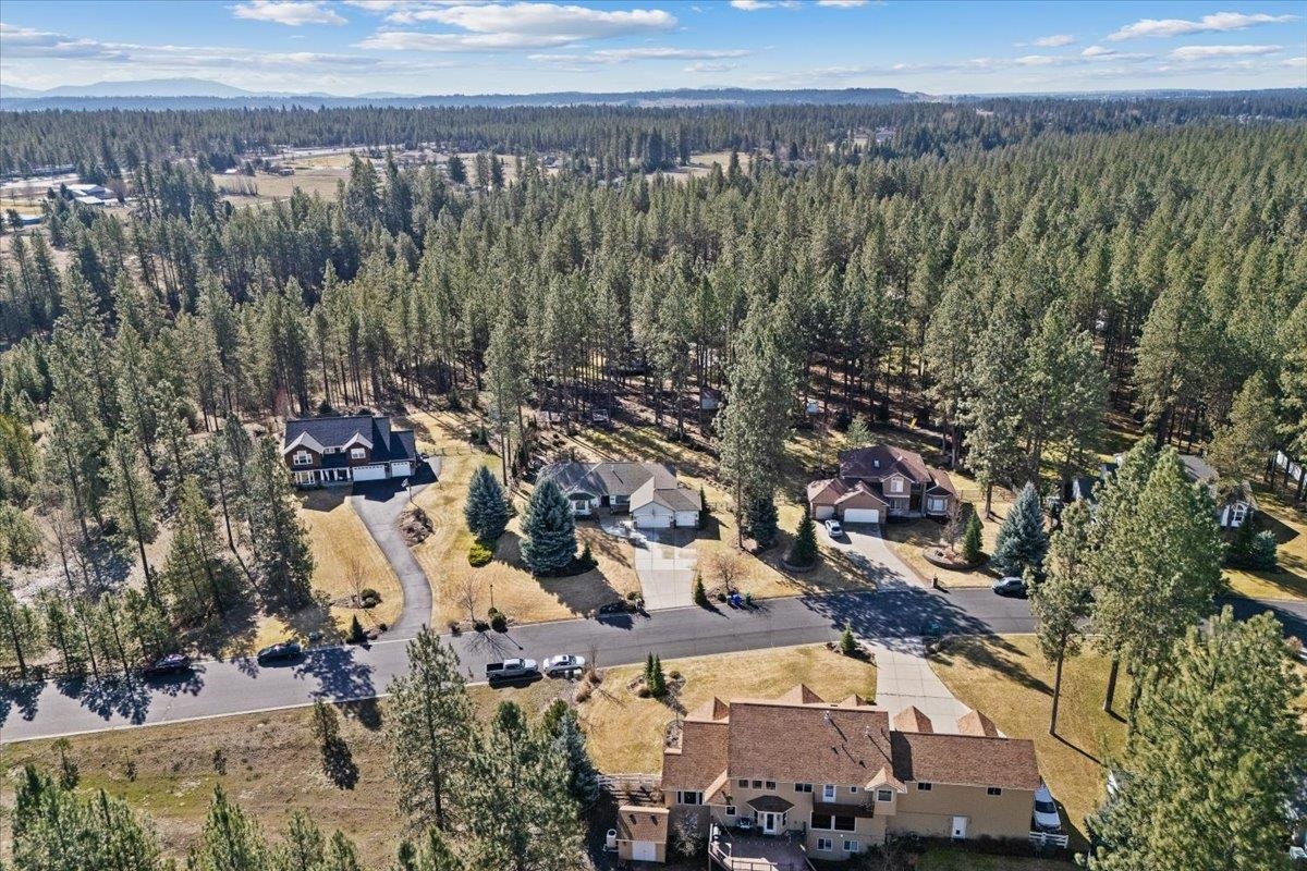3822 East Bridle Trail Road Colbert, WA 99005 - Photo 48 of 50