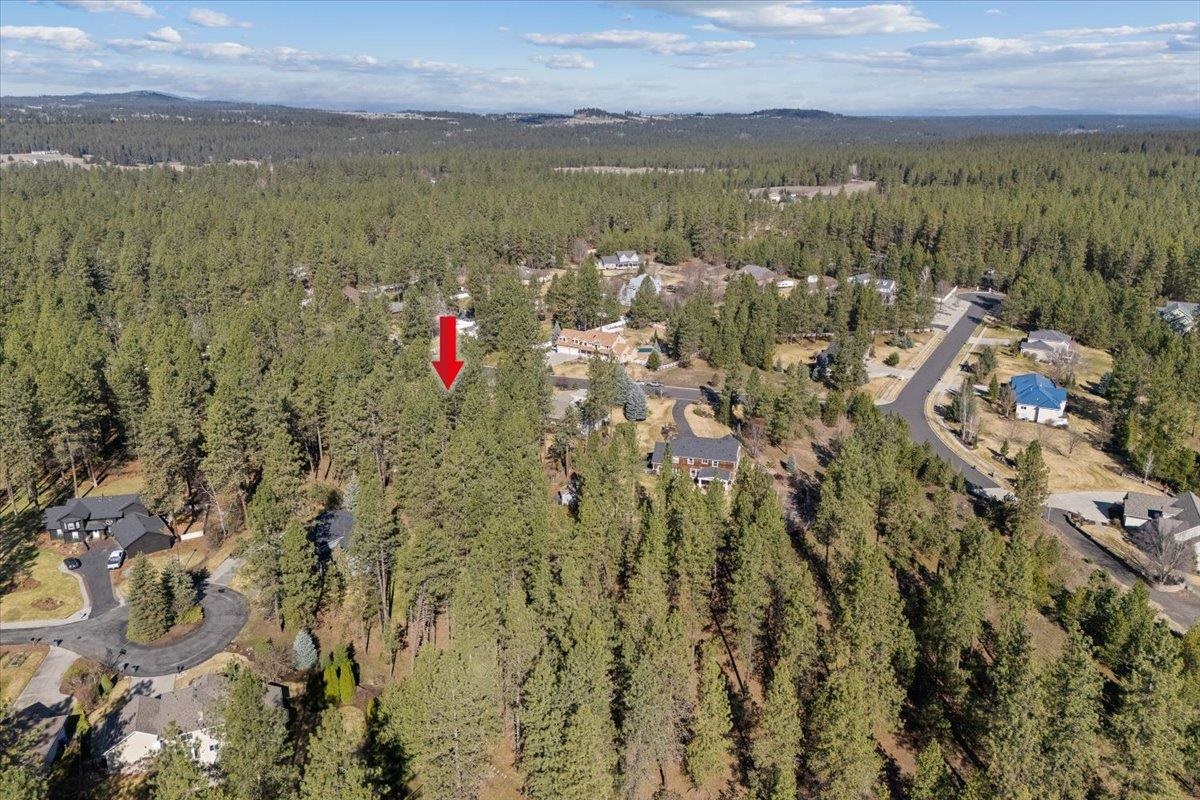 3822 East Bridle Trail Road Colbert, WA 99005 - Photo 50 of 50