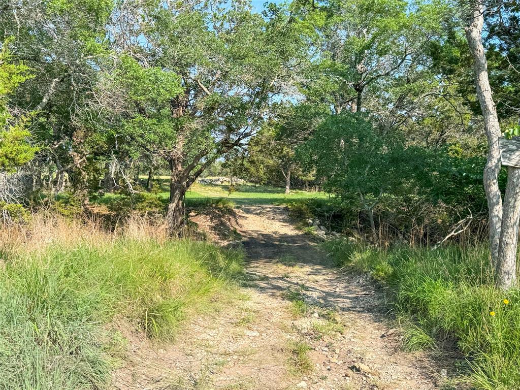 515 Big Creek Road Blanco, TX 78606 - Photo 22 of 40