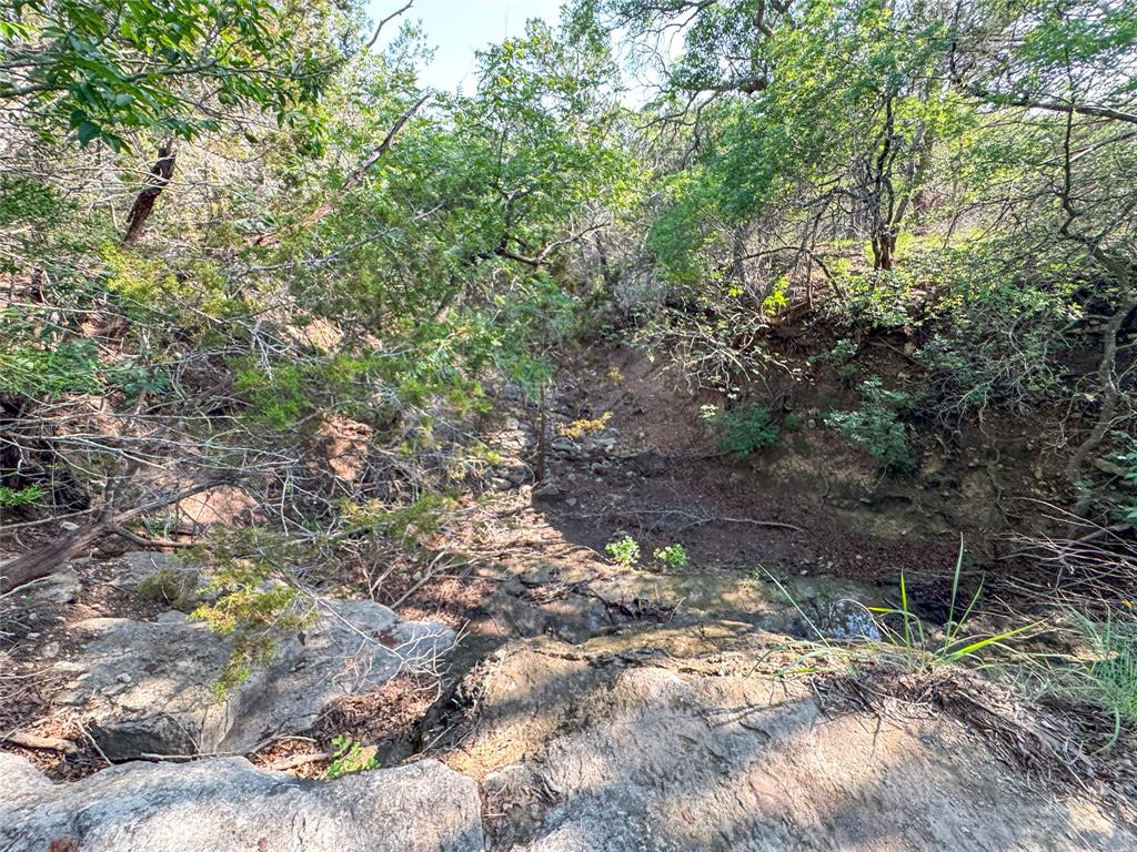 515 Big Creek Road Blanco, TX 78606 - Photo 23 of 40