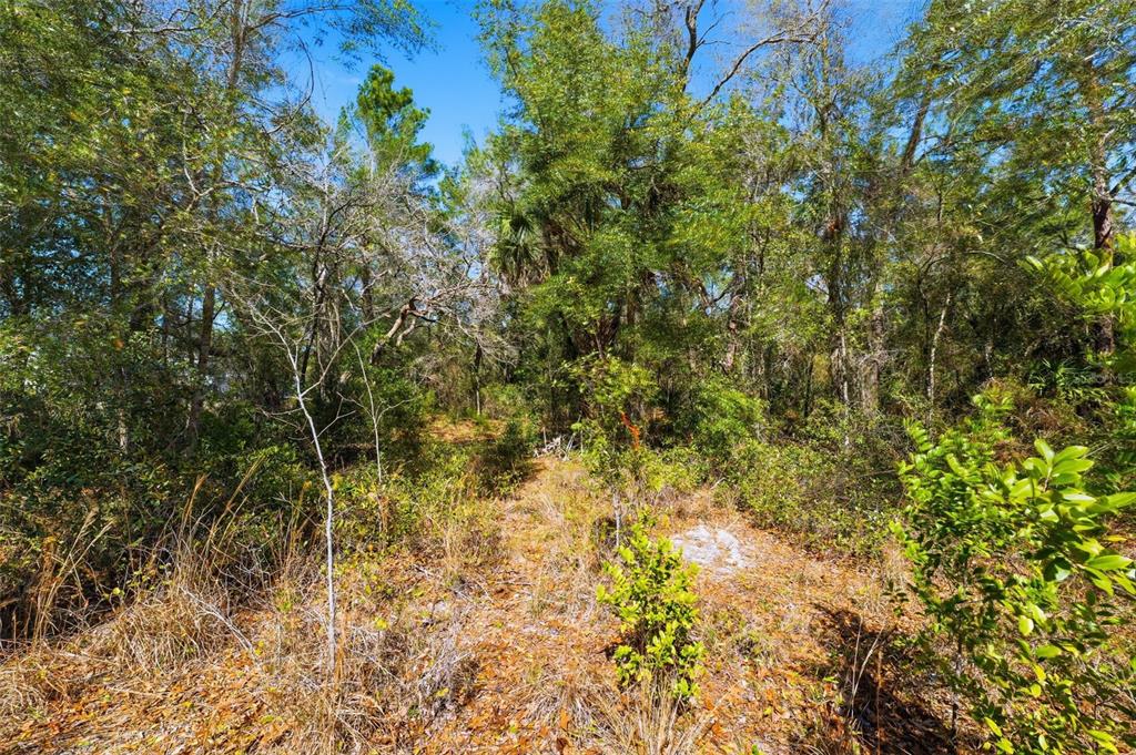 9255 Grouse Way Hudson, FL 34669 - Photo 4 of 17