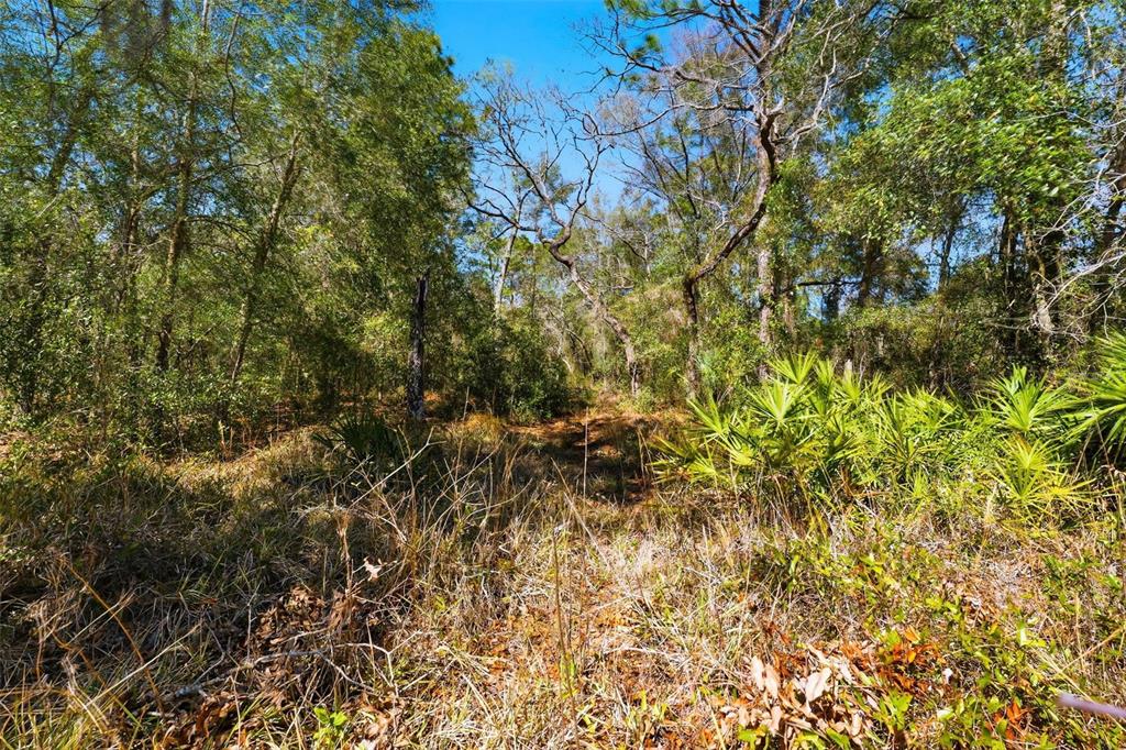 9255 Grouse Way Hudson, FL 34669 - Photo 8 of 17