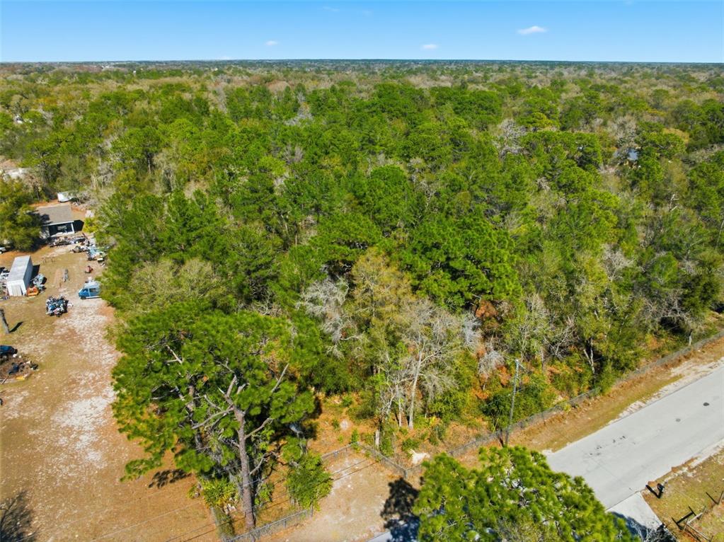 9255 Grouse Way Hudson, FL 34669 - Photo 10 of 17