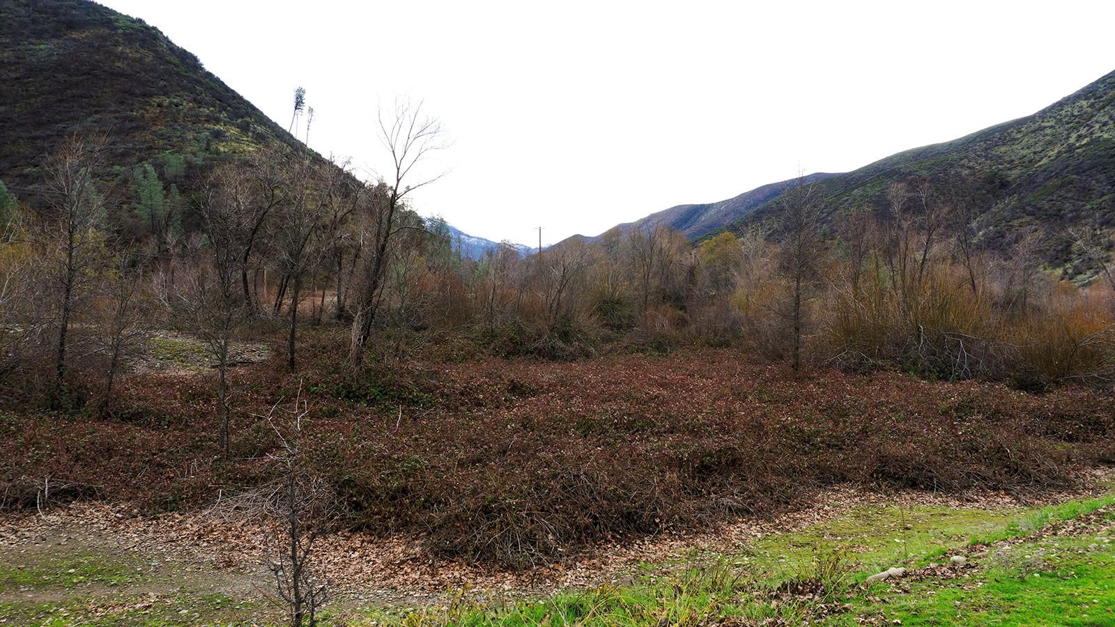 14735 Trinity Mountain Road French Gulch, CA 96033 - Photo 16 of 23 10 (2)