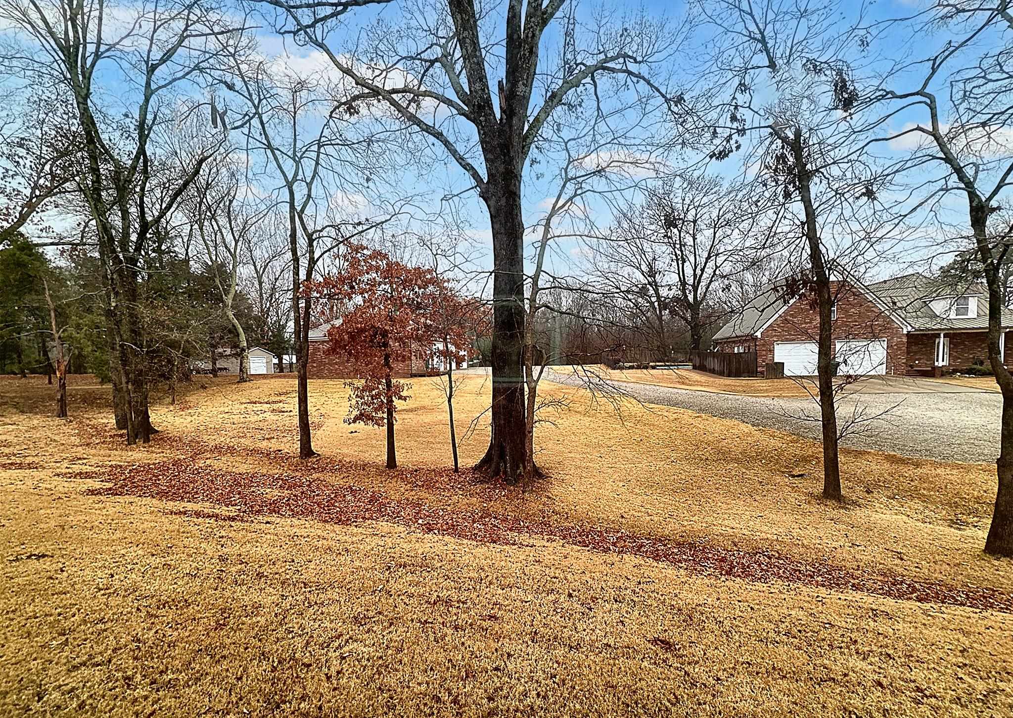 6398 Sallows Cove Bartlett, TN 38135 - Photo 28 of 31 a view of road and trees