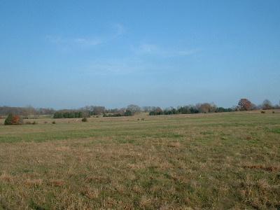 778 South Dade Farm Road Everton, MO 65646 - Photo 1 of 1 Primary Photo