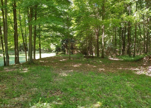 Kinsman Ridge Kinsman, OH 44428 - Photo 10 of 17 Gallery Image 10