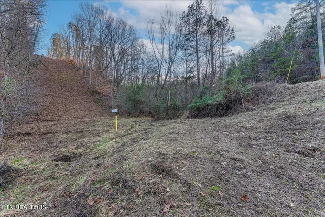$75,000 | 5-acres Lamplighter Way, Newport, TN 37821
