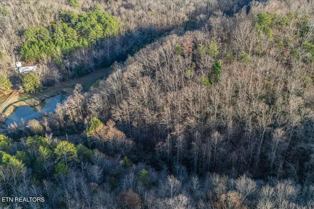 $75,000 | 5-acres Lamplighter Way, Newport, TN 37821