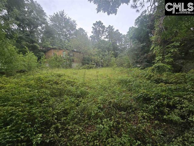807 A Laurel Road Lexington, SC 29073 - Photo 2 of 3 Gallery Image 2