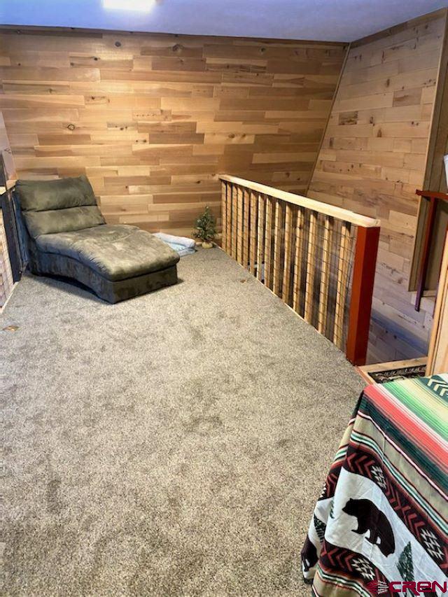 581 Balsam Road Cimarron, CO 81220 - Photo 20 of 28 Gallery Image 20