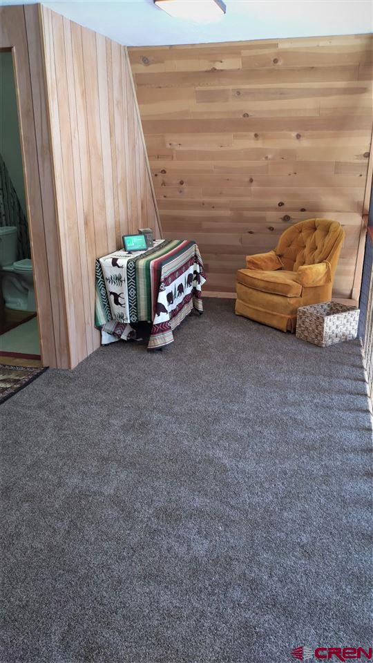 581 Balsam Road Cimarron, CO 81220 - Photo 21 of 28 Gallery Image 21