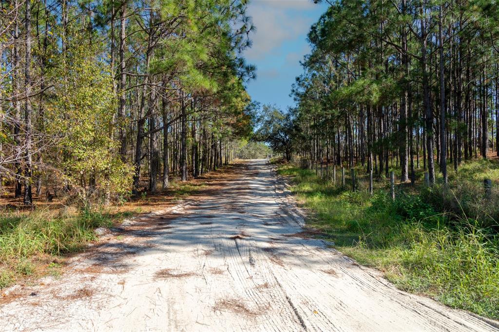 Lost Lake Road Clermont, FL 34711 - Photo 7 of 12