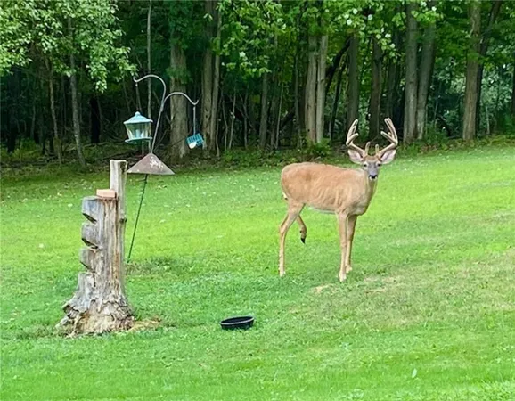 $445,900 | 155 Pine Street, Brookville, PA 15825