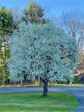 $445,900 | 155 Pine Street, Brookville, PA 15825