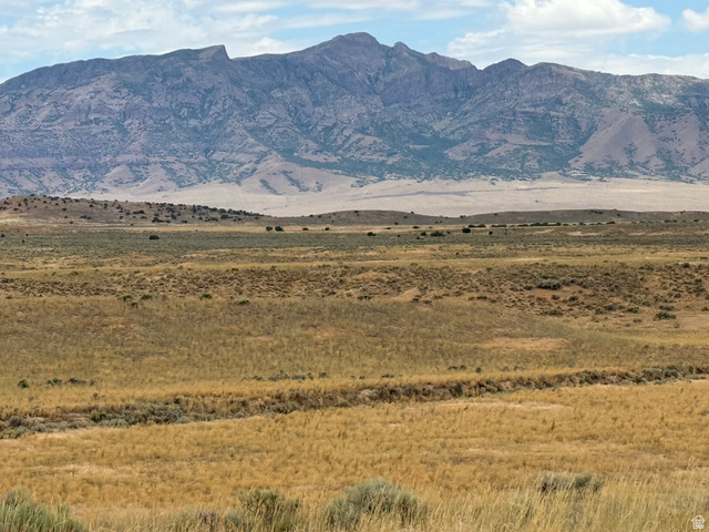 25 Old Dam Road, Unit 25 Levan, UT 84639 - Photo 8 of 10
