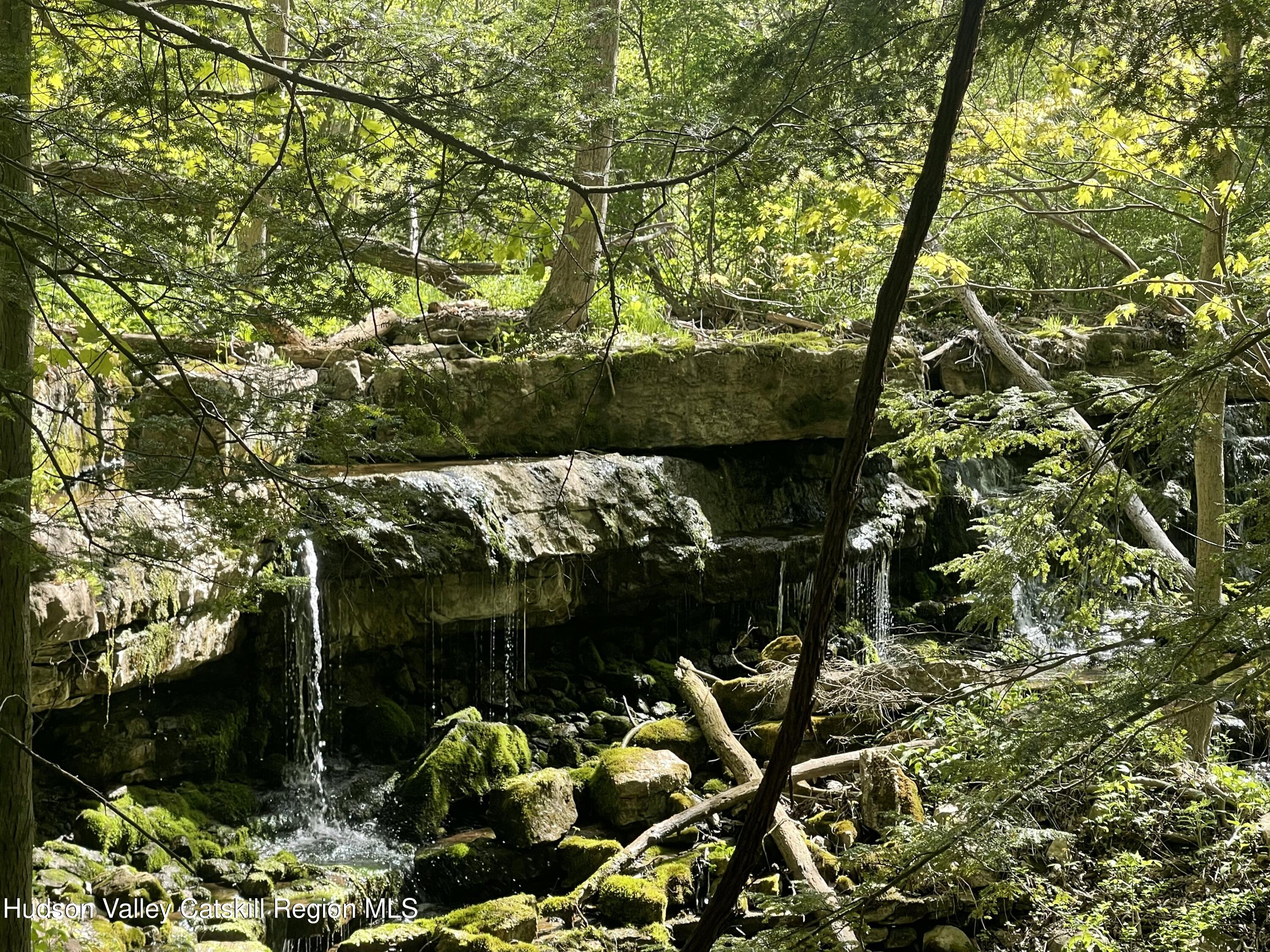 75 Tool House Road Catskill, NY 12414 - Photo 2 of 10 a backyard of a house with lots of green space