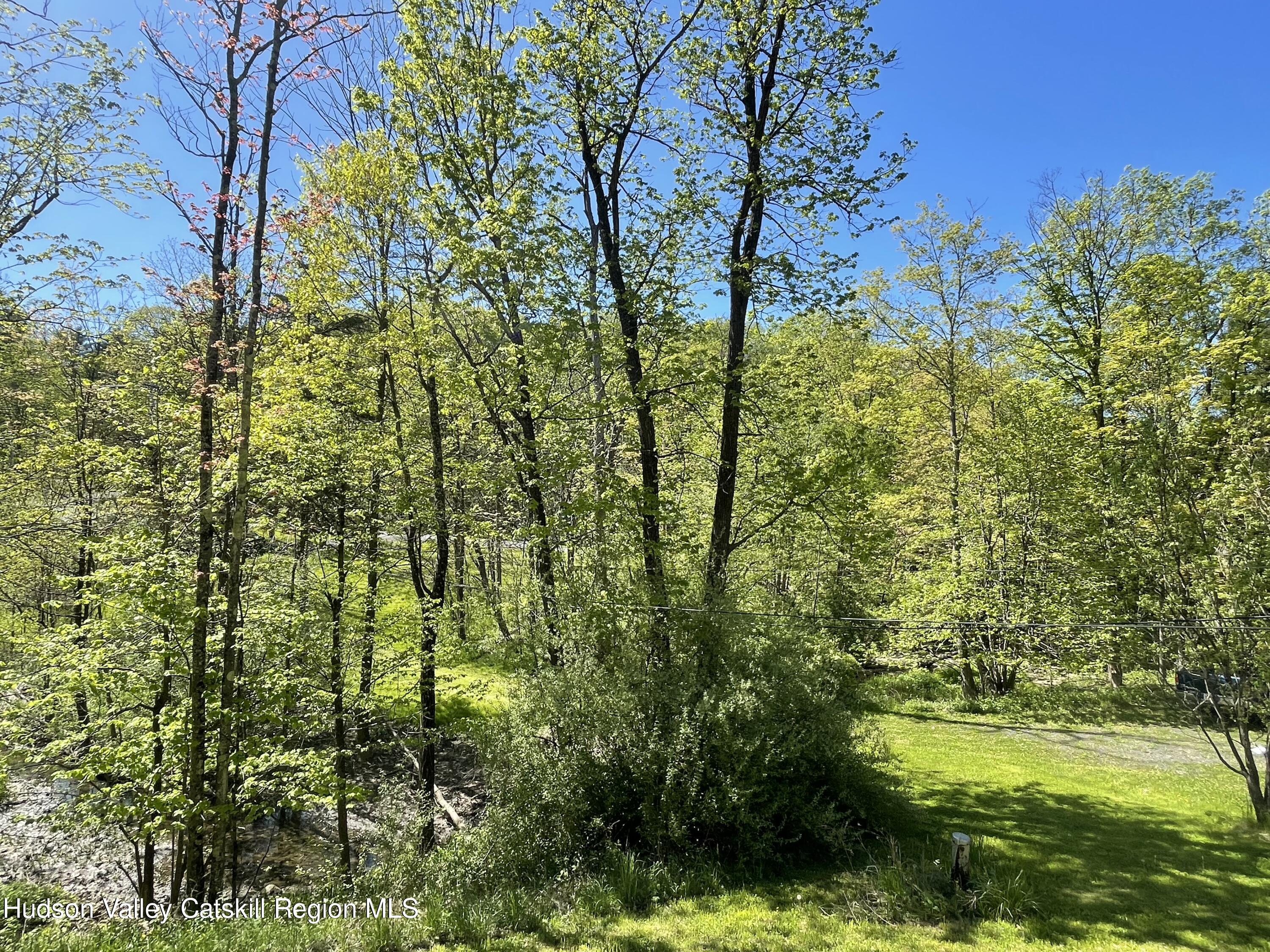 75 Tool House Road Catskill, NY 12414 - Photo 9 of 10 a view of a yard with plants and large trees