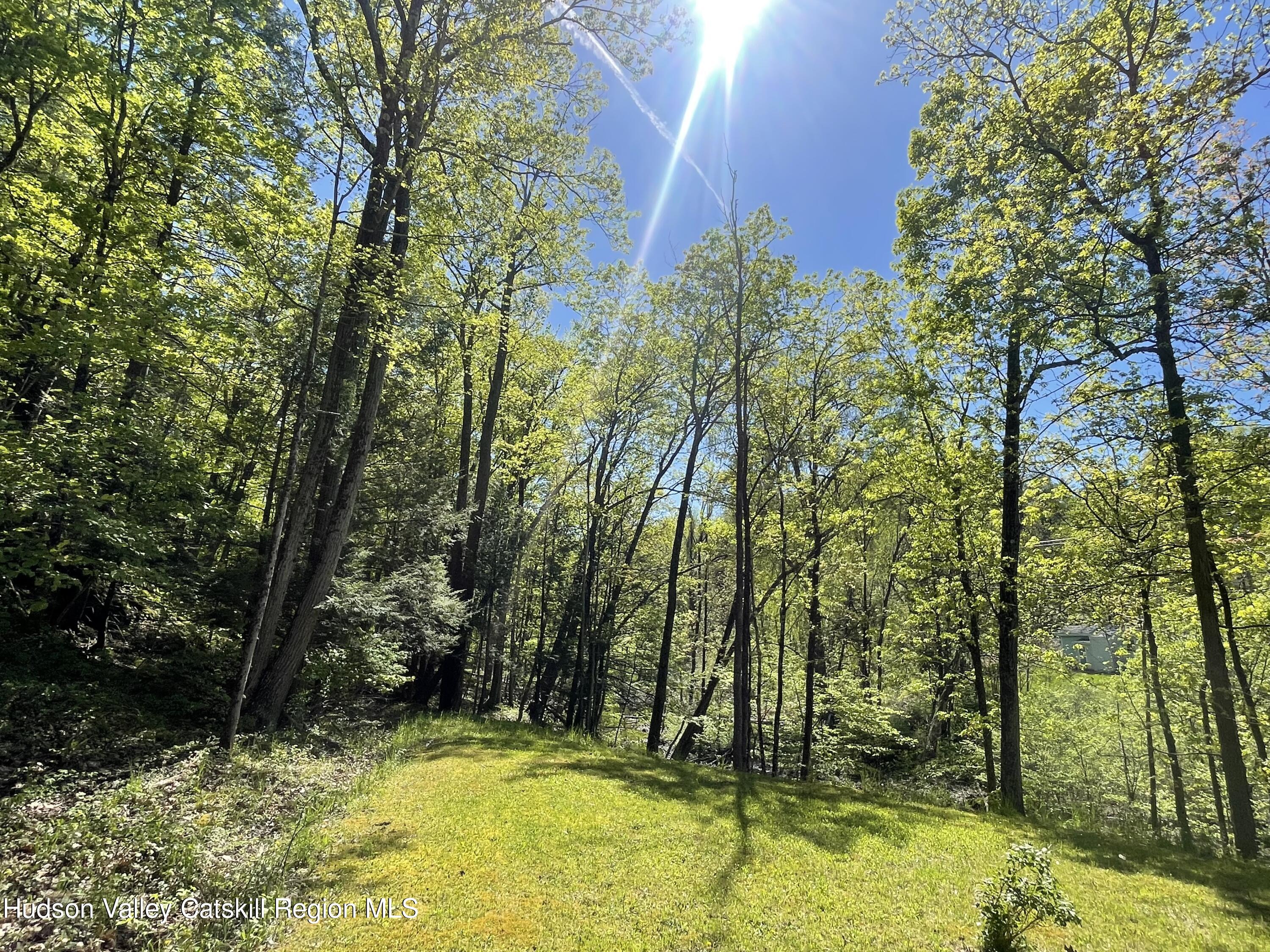 75 Tool House Road Catskill, NY 12414 - Photo 10 of 10 a view of swimming pool