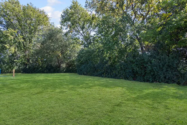 a view of a grassy field with trees in the background