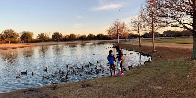 a view of a lake with a yard