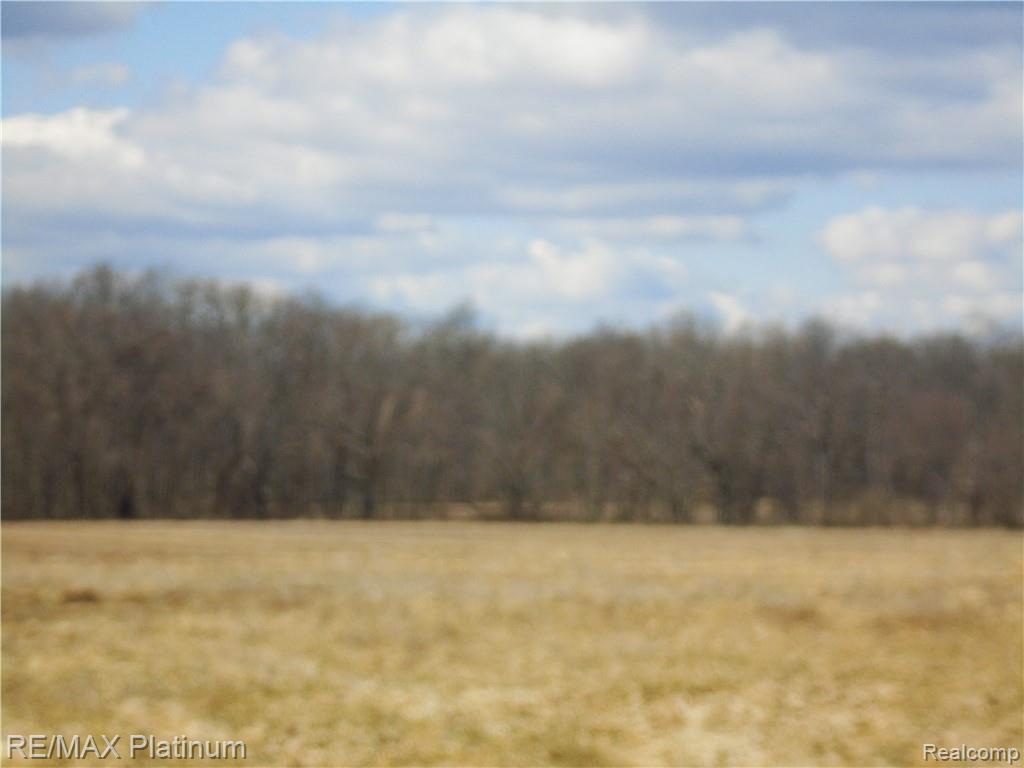 A 7 Hartland Road Fenton, MI 48430 - Photo 4 of 7