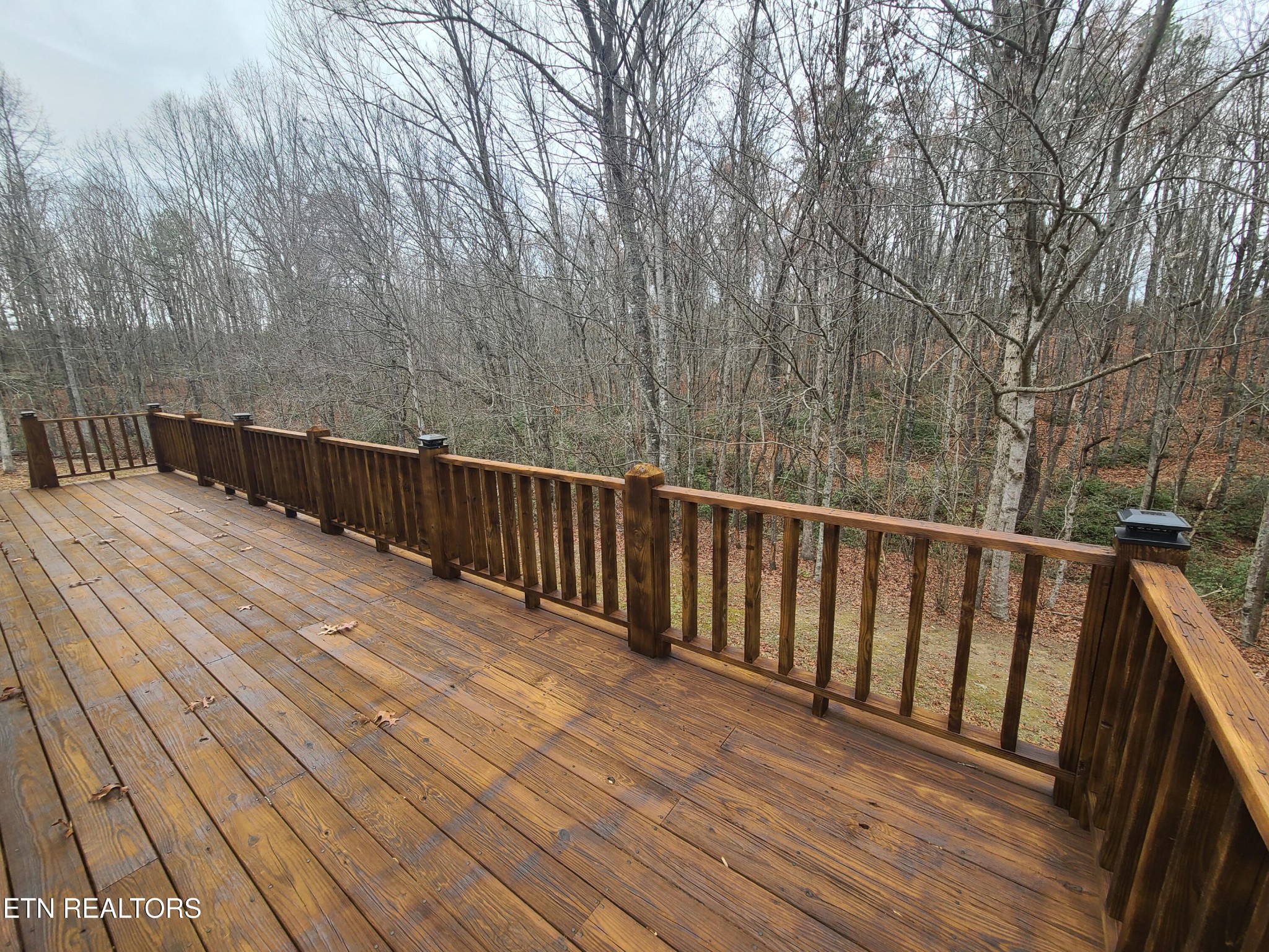 1149 Panther Branch Road Jamestown, TN 38556 - Photo 4 of 20 Gallery Image 4