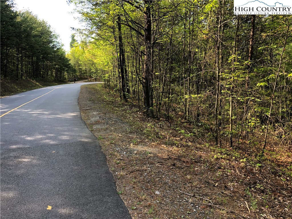 Lot 24 Staghorn Road Purlear, NC 28665 - Photo 5 of 27 a view of a trees with yard