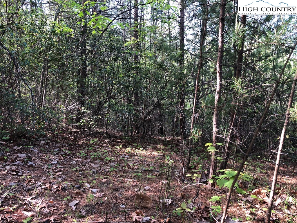 Lot 24 Staghorn Road Purlear, NC 28665 - Photo 7 of 27 a view of an outdoor space