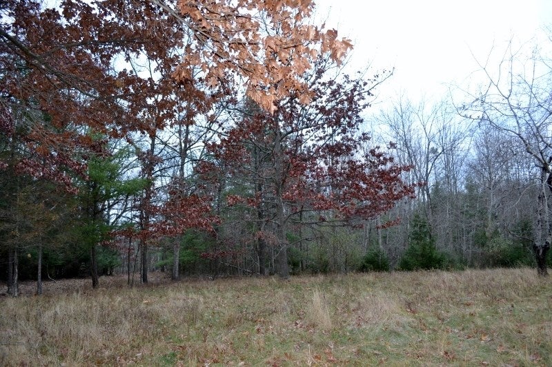 1809 Crayton Road Monroeton, PA 18832 - Photo 74 of 75 Gallery Image 74