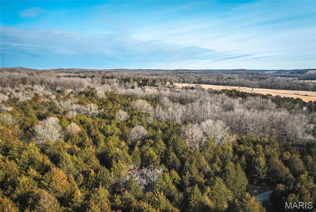 6097 Highway 63 Houston, MO 65483 - Photo 65 of 72