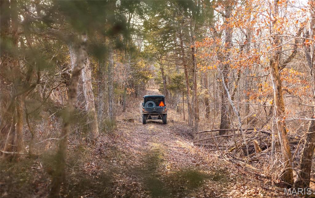 6097 Highway 63 Houston, MO 65483 - Photo 66 of 72