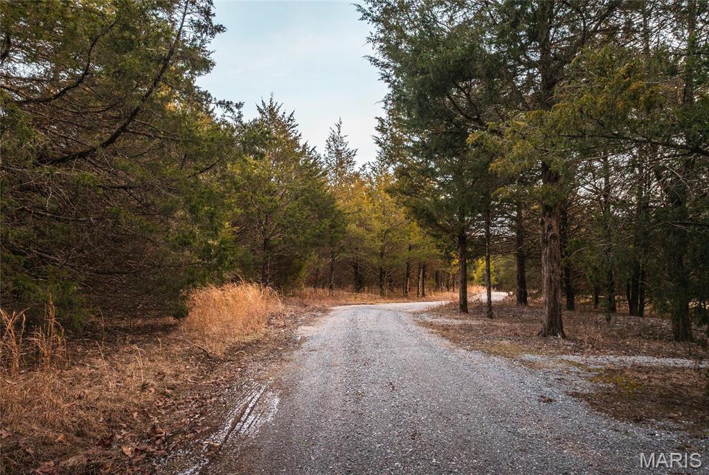 6097 Highway 63 Houston, MO 65483 - Photo 67 of 72