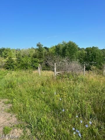 4273 Industry Road Rootstown, OH 44272 - Photo 2 of 3 View of local wilderness