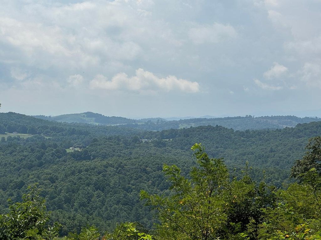 450 High Point Road Woodlawn, VA 24381 - Photo 7 of 55 Gallery Image 7