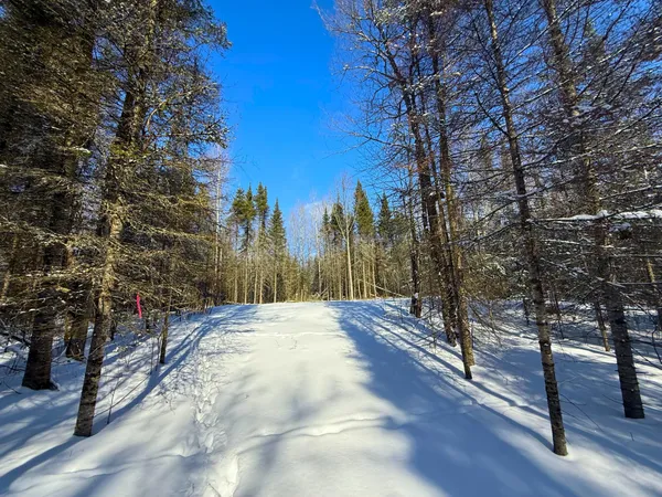 $45,000 | 72-xx East Central Lakes Road, Eveleth, MN 55734